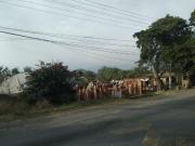 Terreno en venta a borde de la Carr. Chiconcuac Zapata,...