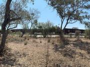 Terreno en Venta a espaldas de BASF, Altamira, Tam