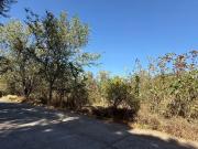 Terreno en venta a espaldas de Bosque de los Colomos,...