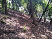 Terreno en Venta a menos de 1km del Parque Nacional...