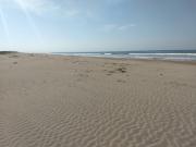 TERRENO EN VENTA A PIE DE PLAYA