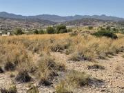 Terreno en venta Abanilla