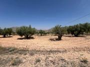 Terreno en venta Abanilla