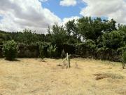 Terreno en venta Aguilar de Campóo