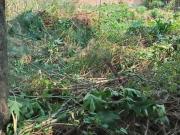 Terreno en Venta al Centro Norte de Cuernavaca, Morelos,... Terreno en Venta al Centro Norte de Cuernavaca, Morelos,...