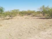 TERRENO EN VENTA AL LADO DEL BLVD. TORREÓN MATAMOROS