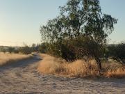 TERRENO EN VENTA AL PTE DE LA CIUDAD