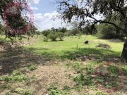 Terreno en Venta al sur por Peñuelas, Aguascalientes