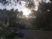 Terreno en venta Alaior