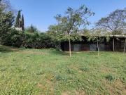 Terreno en venta. Alcala de Guadaira
