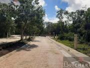 TERRENO EN VENTA ALDEA HA, PUERTO MORELOS