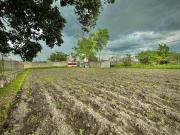 TERRENO EN VENTA ALPUYECA