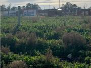 TERRENO EN VENTA Altos de Pinar Bahia Blanca