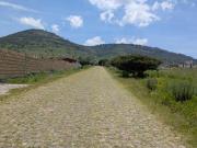 Terreno en venta, Amealco de Bonfil