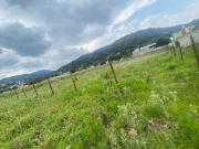 Terreno en Venta Ameyalco, Lerma