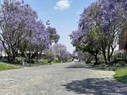 Terreno en venta Arauca Zapopan Jalisco