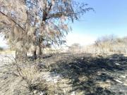 TERRENO EN VENTA BUENA VISTA DE PEÑUELAS POBLADO EL...