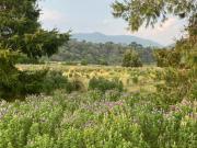Terreno en Venta Atrás Ex Hacienda Jajalpa