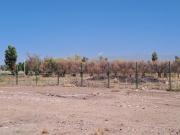 Terreno en venta B privado Solar de Olivos Posesión...