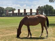 Terreno en VENTA, Balvanera, Quer?taro