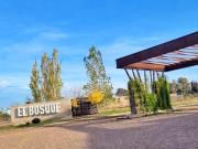 Terreno en Venta – Barrio El Bosque, Rodeo del Medio,...