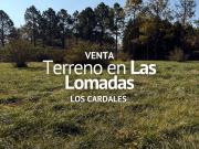TERRENO EN VENTA, BARRIO LAS LOMADAS, LOS CARDALES