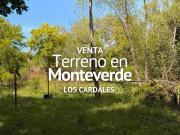 TERRENO EN VENTA, BARRIO MONTEVERDE, LOS CARDALES
