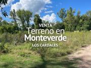 TERRENO EN VENTA, BARRIO MONTEVERDE, LOS CARDALES TERRENO EN VENTA, BARRIO MONTEVERDE, LOS CARDALES