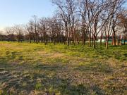 Terreno en Venta Barrio Santa Ines