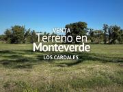 TERRENO EN VENTA, BARRIO SEMI CERRADO MONTEVERDE, LOS...
