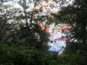 Terreno en Venta Bellavista Xalapa