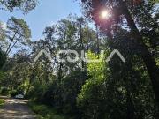 TERRENO EN VENTA, BOSQUE REAL