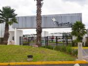 Terreno en venta, C. De el Colibrí N.11, Fracc....