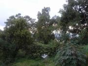 Terreno en Venta, Calacoaya, para construir conjunto...