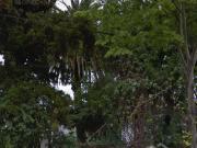 Terreno en Venta Calle 116 37 y 38 La Plata