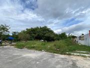 Terreno en Venta Calle Palma Aceitera y Arco Norte...