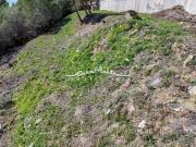 Terreno en venta Callosa d'En Sarria