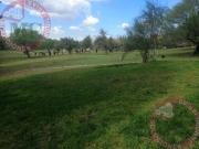 Terreno en Venta Campestre San Joaquín, Ags