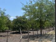 Terreno en Venta Campestres el Fraile, Montemorelos