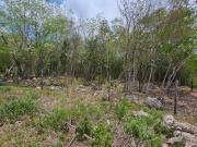 TERRENO EN VENTA CANCUN ATRAS DE VIA CUMBRES