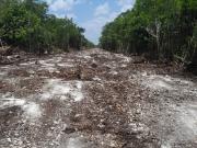 Terreno en Venta Cancún Quintana Roo