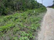 Terreno en Venta Cancún Quintana Roo