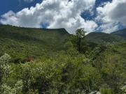 Terreno en Venta, Carretera a Colombia, Salinas Victoria