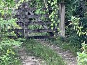Terreno en Venta Carretera Felipe Carrillo Puerto Tulum