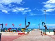 Terreno en Venta carretera Motul Telchac Yucat?n