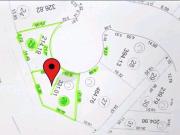 TERRENO EN VENTA CARRETERA NACIONAL ALAMO SUR