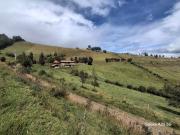Terreno en venta Cayambe 9 hectareas apto para cultivo y...