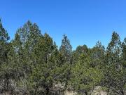 TERRENO EN VENTA CAÑON DE LA CARBONERA