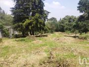 TERRENO EN VENTA CENTRO DE URUAPAN MICHOACAN