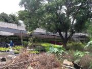 Terreno en venta, Centro, Jiutepec, Morelos